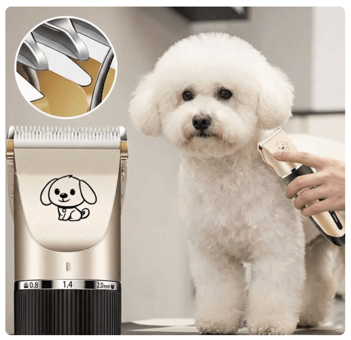 Kit Peluquería para mascotas
